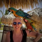 Punta_Surf Island Birds