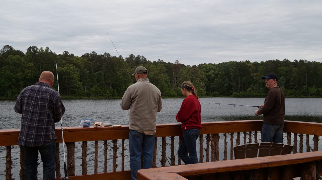 Deer Lake Cabins